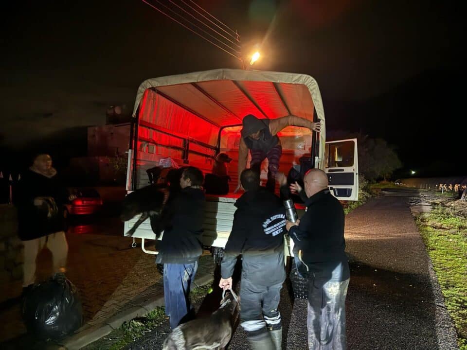 civil-defence-teams-960x720.jpg