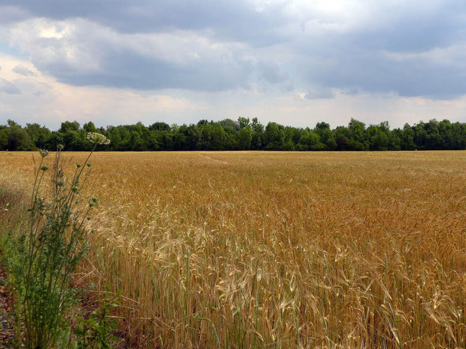 clouds-over-fields-weather-960x720.jpg