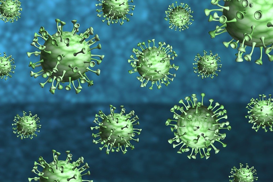 coronavirus-4958989_960_720.jpg