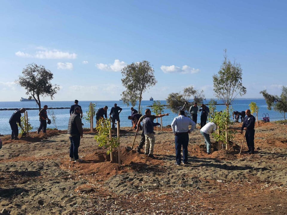 Dasoudi-tree-planting-2-960x720.jpg