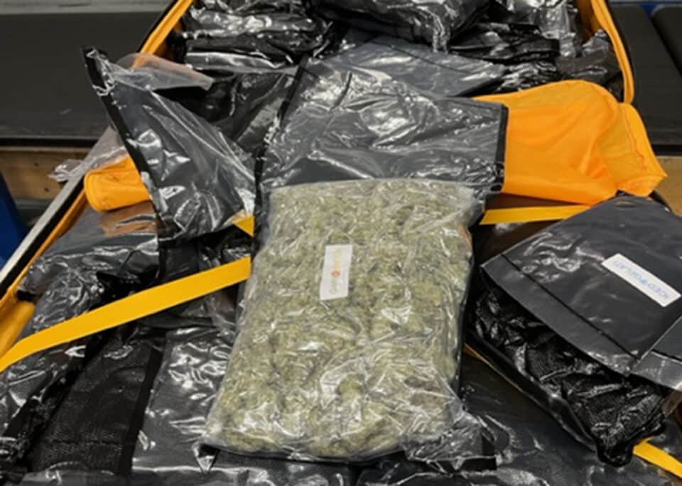 drugs-real-960x684.jpg