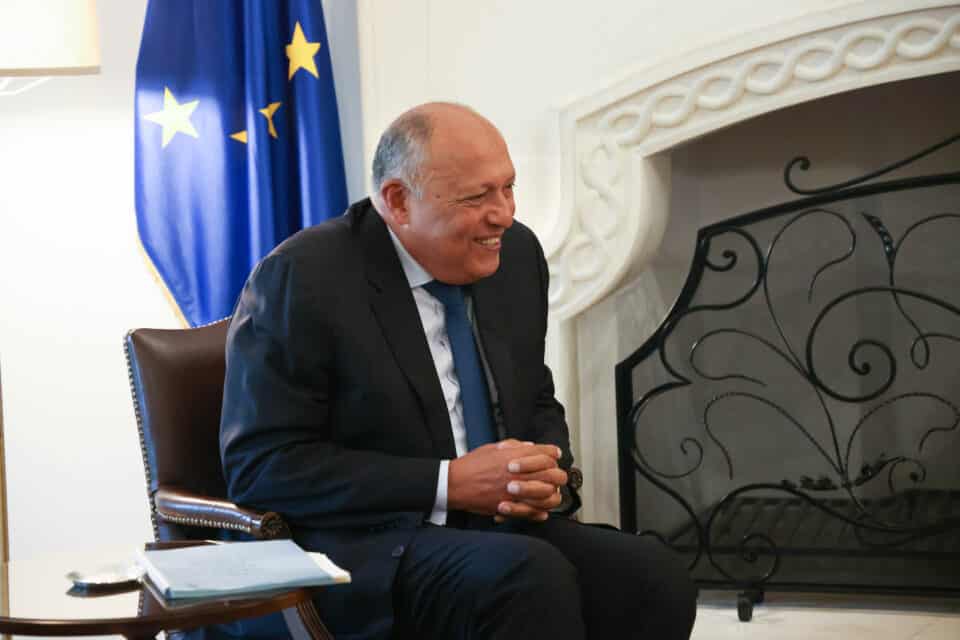 egypts-foreign-minister-shoukry-960x640.jpg