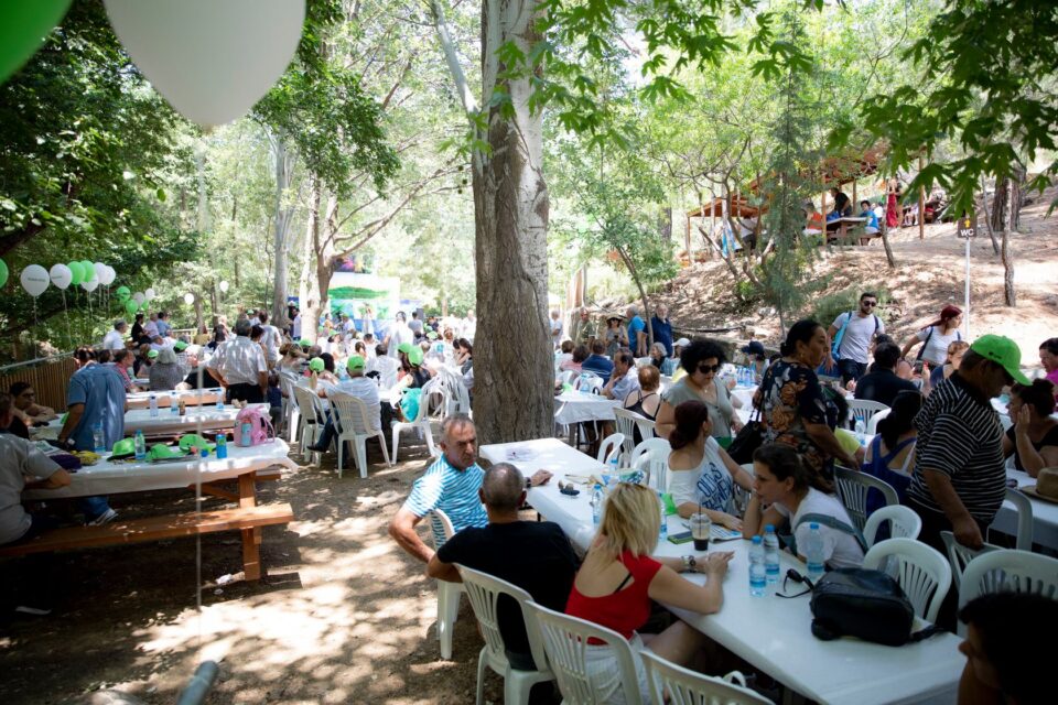 environment-sorry-festival-960x640.jpg