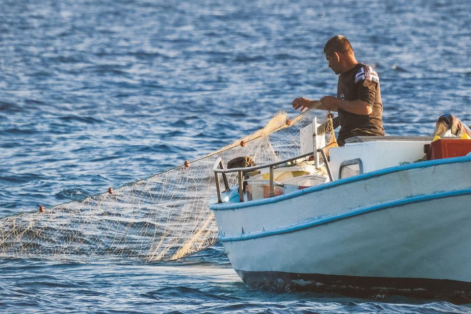 feature-esra-Fresh-fish-sold-to-the-Republic-through-Green-Line-trade-in-2021-was-worth-about-...jpg