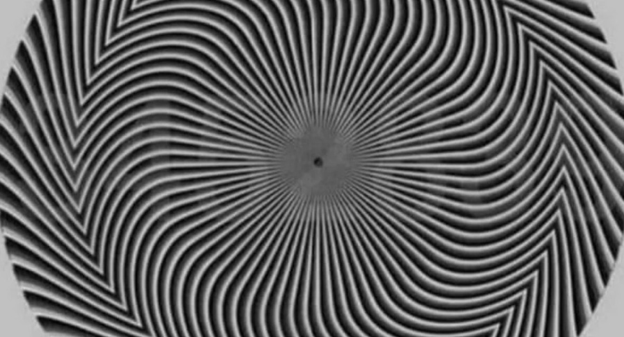 illusiondgf.jpg