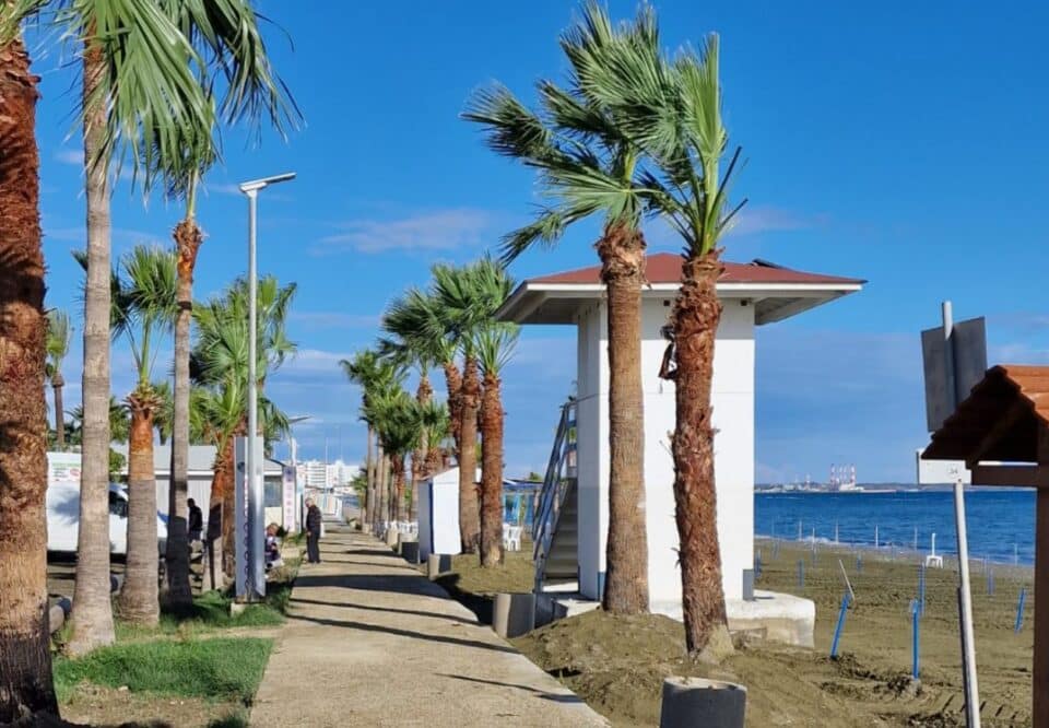 larnaca-cyprus-business-now-960x666.jpg