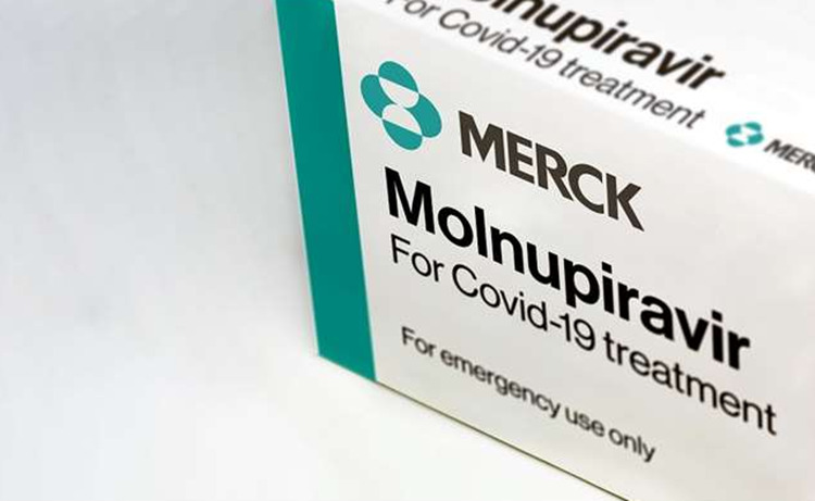 molnupiravirgcn.jpg