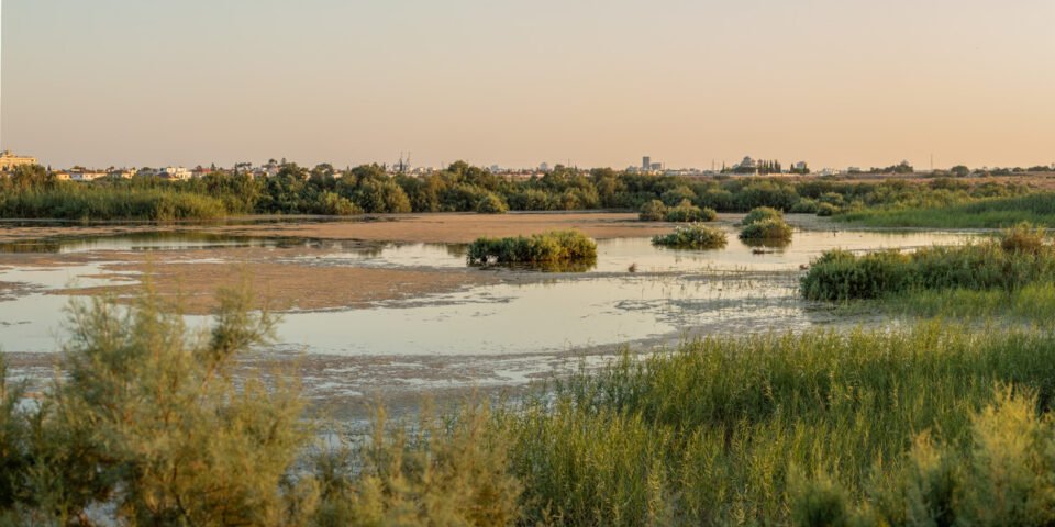 Oroklini-Marsh-2-at-sunset-Ben-Porter-960x480.jpg