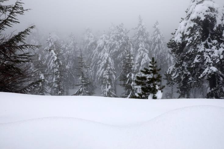 snow-1.jpg
