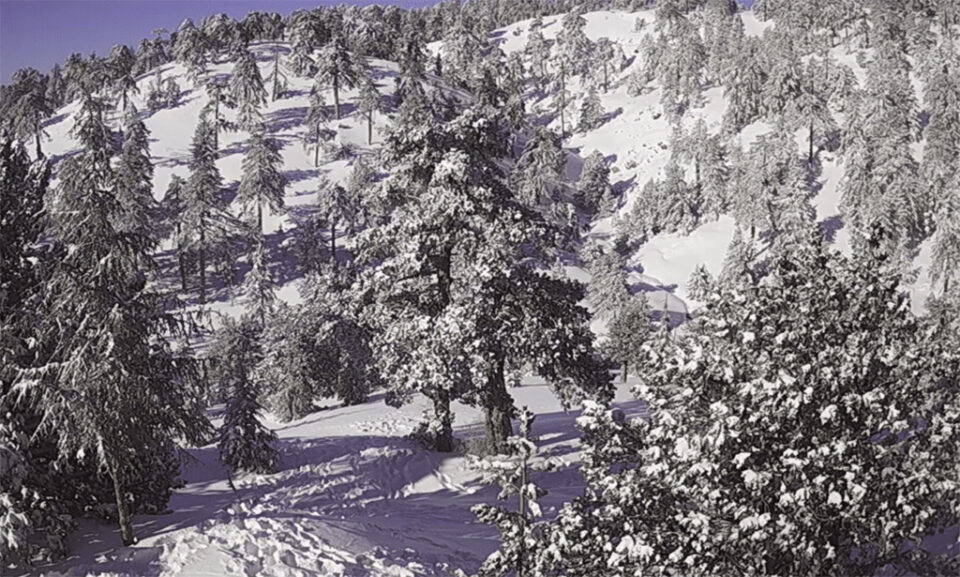 snow-2-960x577.jpg