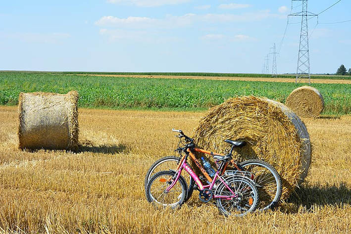 sunny-end-of-summer.jpg