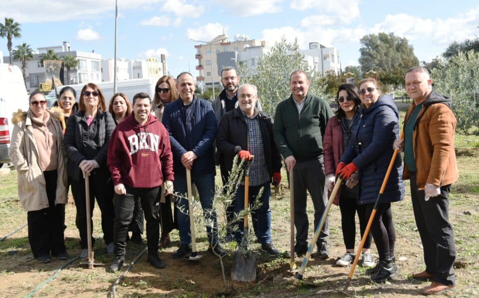 tree-planting-960x598.jpg