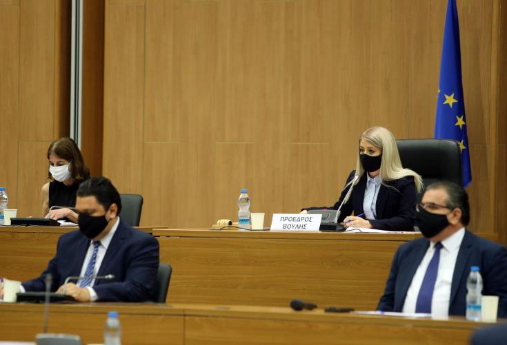 vouli-annita.jpg