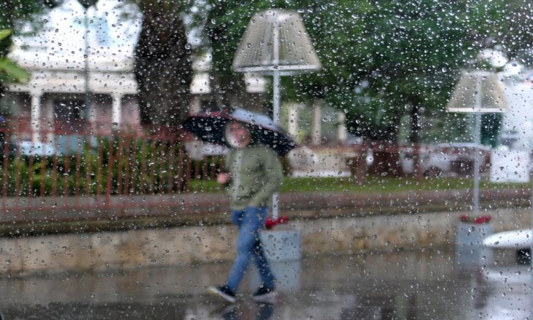 vroxes20212.jpg